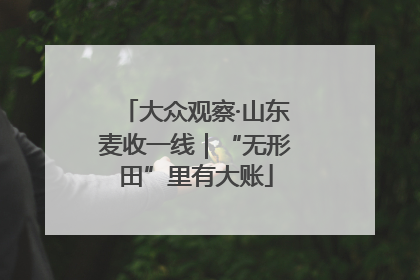 大众观察·山东麦收一线｜“无形田”里有大账