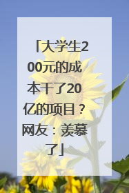 大学生200元的成本干了20亿的项目？网友：羡慕了