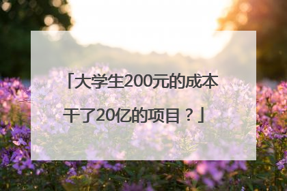 大学生200元的成本干了20亿的项目？