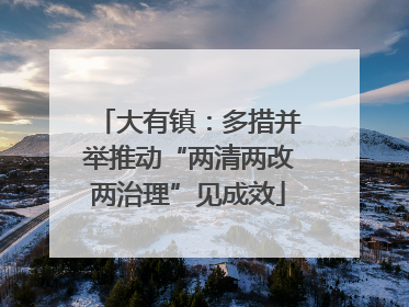 大有镇：多措并举推动“两清两改两治理”见成效