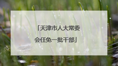 天津市人大常委会任免一批干部
