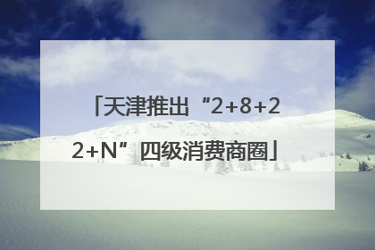 天津推出“2+8+22+N”四级消费商圈