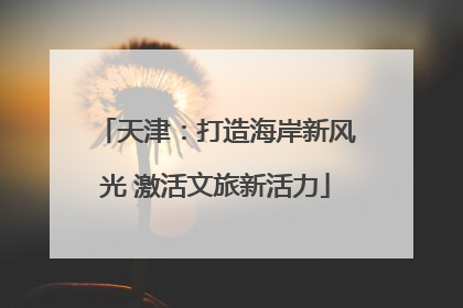天津：打造海岸新风光 激活文旅新活力