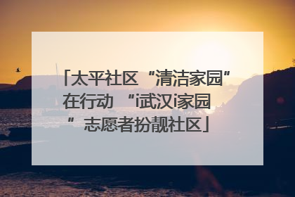 太平社区“清洁家园”在行动 “i武汉i家园”志愿者扮靓社区