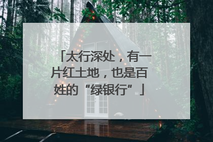 太行深处，有一片红土地，也是百姓的“绿银行”