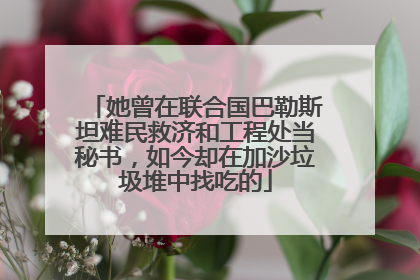 她曾在联合国巴勒斯坦难民救济和工程处当秘书，如今却在加沙垃圾堆中找吃的