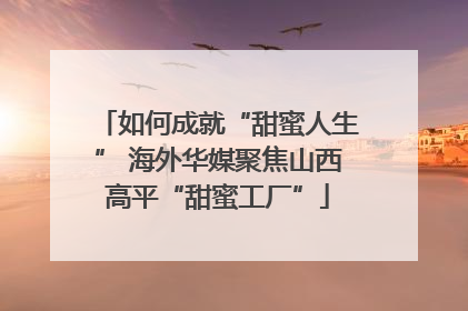 如何成就“甜蜜人生” 海外华媒聚焦山西高平“甜蜜工厂”