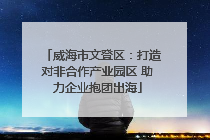威海市文登区：打造对非合作产业园区 助力企业抱团出海