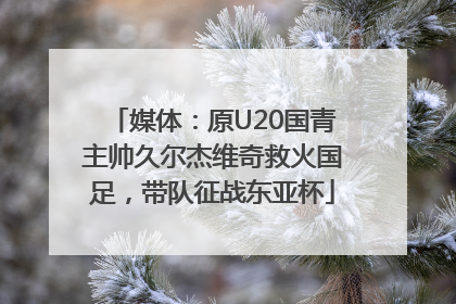 媒体：原U20国青主帅久尔杰维奇救火国足，带队征战东亚杯