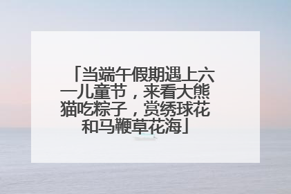 当端午假期遇上六一儿童节，来看大熊猫吃粽子，赏绣球花和马鞭草花海