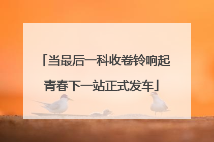 当最后一科收卷铃响起 青春下一站正式发车