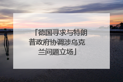 德国寻求与特朗普政府协调涉乌克兰问题立场