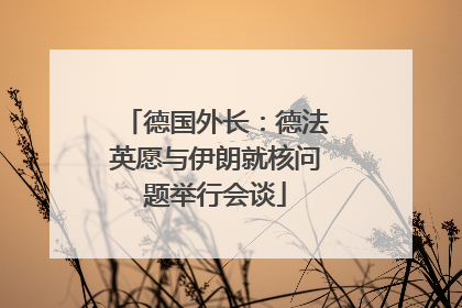 德国外长：德法英愿与伊朗就核问题举行会谈