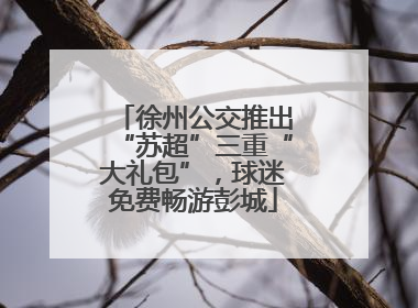 徐州公交推出“苏超”三重“大礼包”，球迷免费畅游彭城