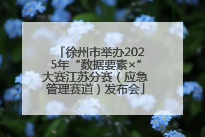 徐州市举办2025年“数据要素×”大赛江苏分赛（应急管理赛道）发布会
