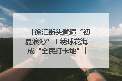 徐汇街头邂逅“初夏浪漫”！绣球花海成“全民打卡地”