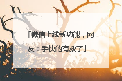 微信上线新功能，网友：手快的有救了