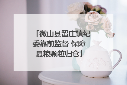微山县留庄镇纪委靠前监督 保障夏粮颗粒归仓