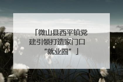 微山县西平镇党建引领打造家门口“就业圈”