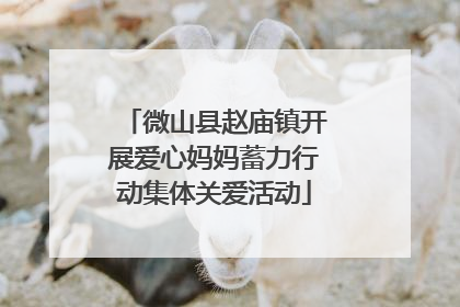 微山县赵庙镇开展爱心妈妈蓄力行动集体关爱活动