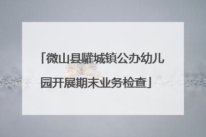 微山县驩城镇公办幼儿园开展期末业务检查