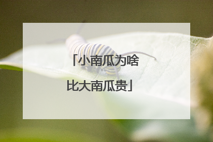 小南瓜为啥比大南瓜贵