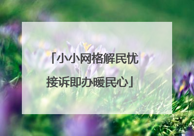 小小网格解民忧 接诉即办暖民心