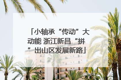 小轴承“传动”大动能 浙江新昌“拼”出山区发展新路