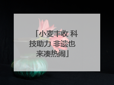 小麦丰收 科技助力 非遗也来凑热闹