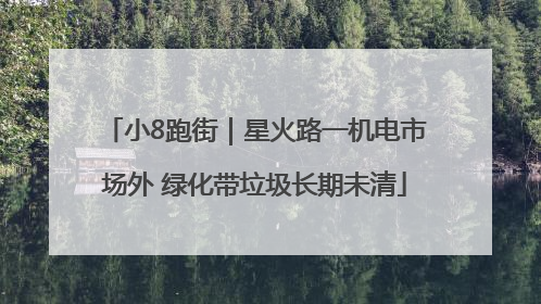 小8跑街｜星火路一机电市场外 绿化带垃圾长期未清