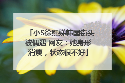 小S徐熙娣韩国街头被偶遇 网友：她身形消瘦，状态很不好
