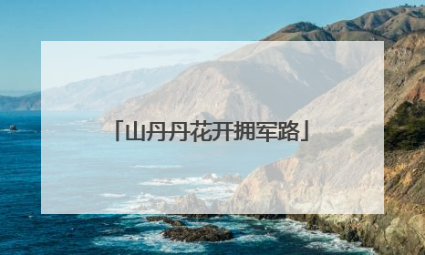 山丹丹花开拥军路