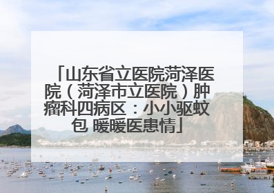 山东省立医院菏泽医院（菏泽市立医院）肿瘤科四病区：小小驱蚊包 暖暖医患情
