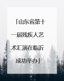 山东省第十一届残疾人艺术汇演在临沂成功举办