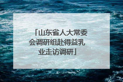 山东省人大常委会调研组赴得益乳业走访调研