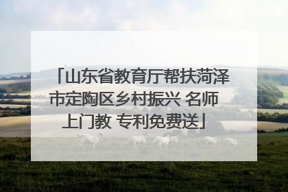 山东省教育厅帮扶菏泽市定陶区乡村振兴 名师上门教 专利免费送