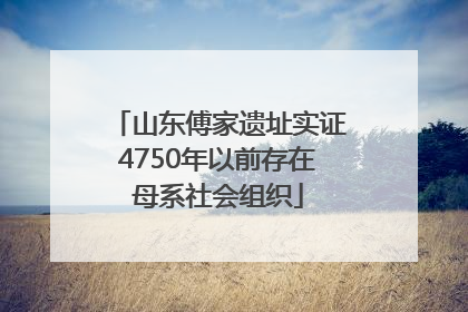 山东傅家遗址实证4750年以前存在母系社会组织