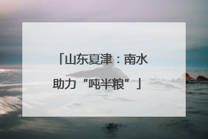 山东夏津：南水助力“吨半粮”