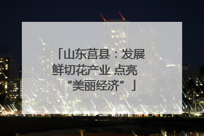 山东莒县：发展鲜切花产业 点亮“美丽经济”