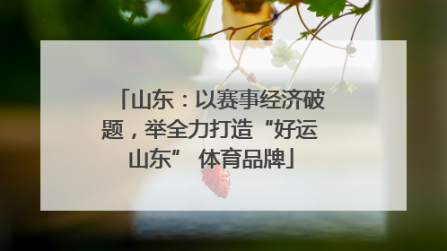 山东：以赛事经济破题，举全力打造“好运山东” 体育品牌