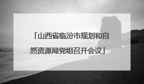 山西省临汾市规划和自然资源局党组召开会议