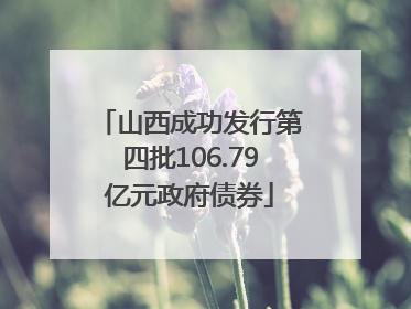 山西成功发行第四批106.79亿元政府债券