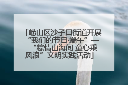 崂山区沙子口街道开展“我们的节日·端午”——“粽情山海间 童心乘风浪”文明实践活动