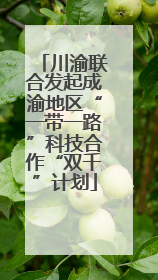 川渝联合发起成渝地区“一带一路”科技合作“双千”计划