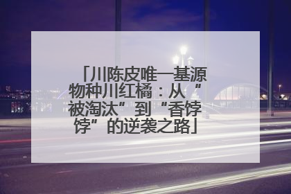 川陈皮唯一基源物种川红橘：从“被淘汰”到“香饽饽”的逆袭之路