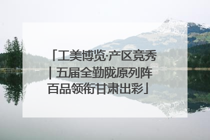 工美博览·产区竞秀｜五届全勤陇原列阵 百品领衔甘肃出彩