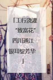 工行浇灌“致富花” 四川通江银耳绽芳华