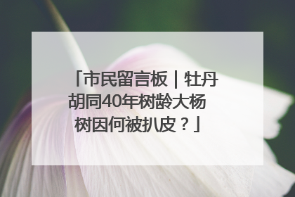市民留言板｜牡丹胡同40年树龄大杨树因何被扒皮？