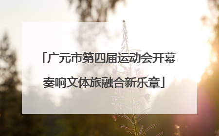 广元市第四届运动会开幕 奏响文体旅融合新乐章