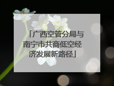 广西空管分局与南宁市共商低空经济发展新路径